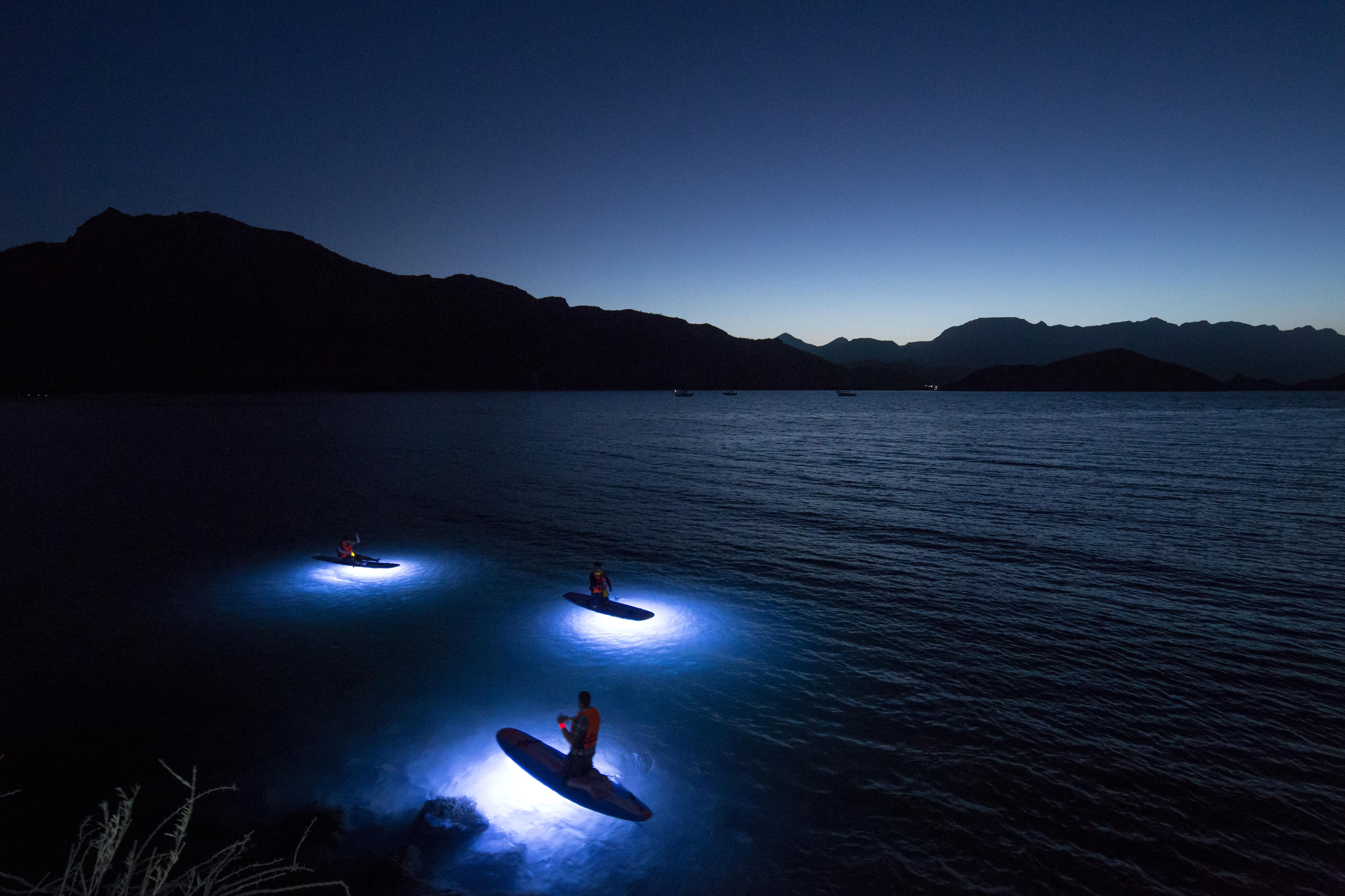 Villa Del Palmar At The Islands Of Loreto Loreto  Esterno foto