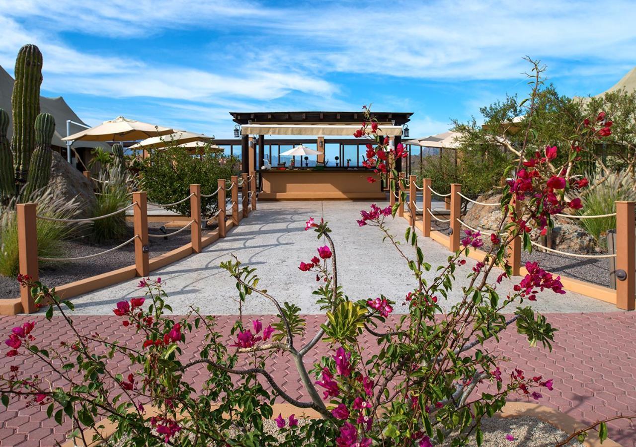Villa Del Palmar At The Islands Of Loreto Loreto  Esterno foto